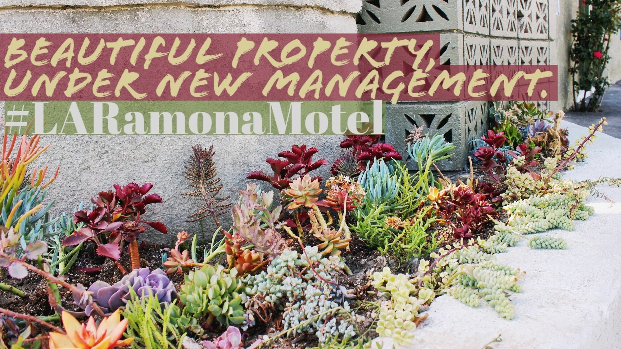 Ramona Motel Los Angeles Eksteriør bilde